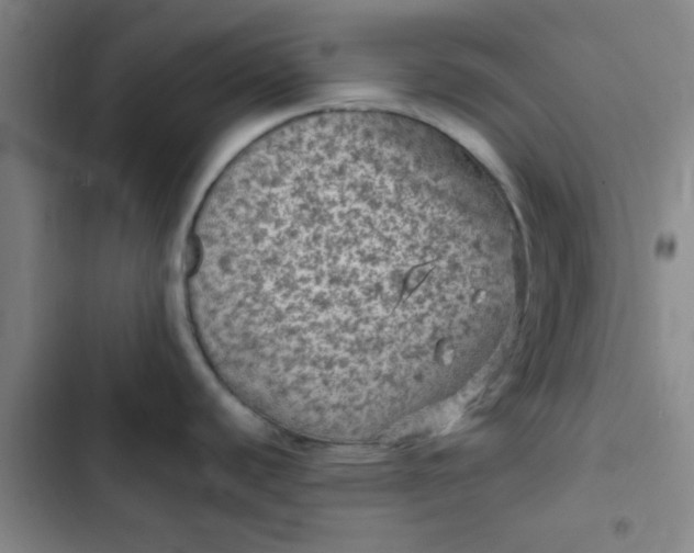 X0000102461440200808221608