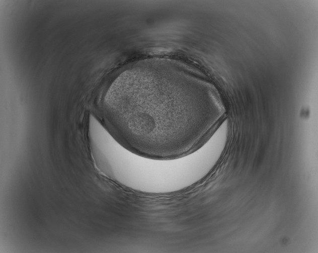 X0000102461441200808221608