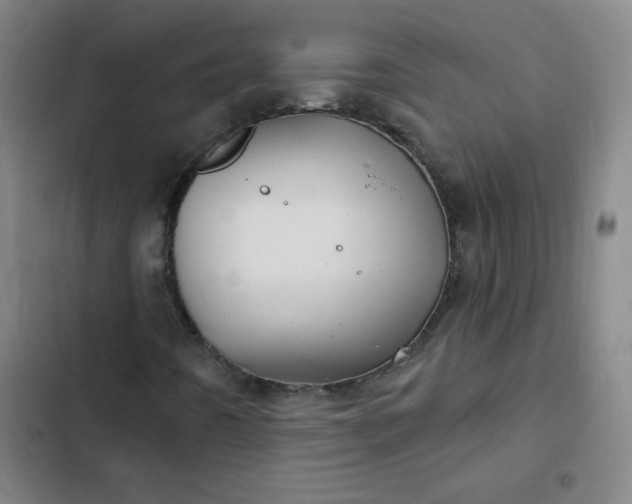 X0000102461442200808221608