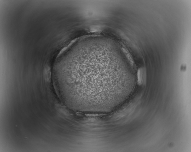 X0000102461443200808221608