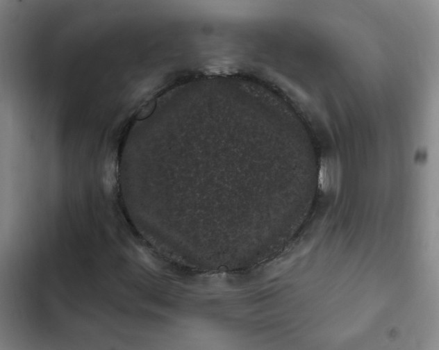 X0000102461444200808221608