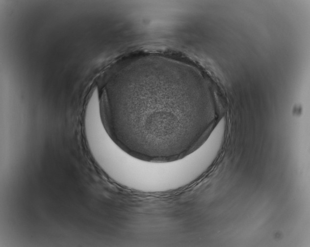 X0000102461445200808221608