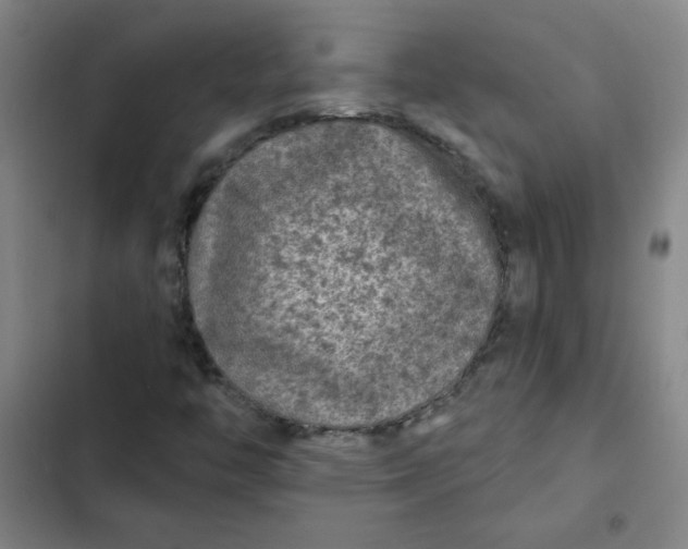 X0000102461446200808221608