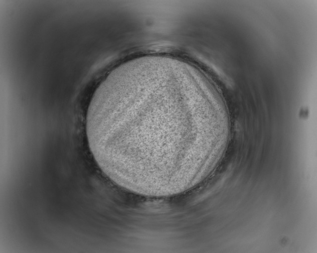 X0000102461447200808221608