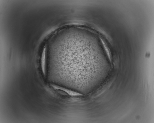 X0000102461448200808221608