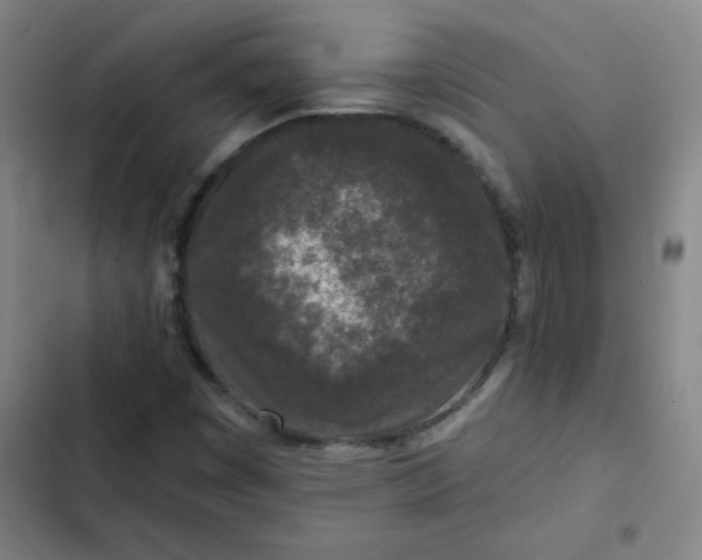 X0000102461449200808221608