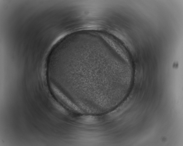 X0000102461450200808221608