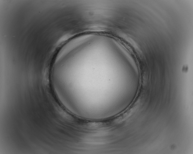 X0000102461451200808221608