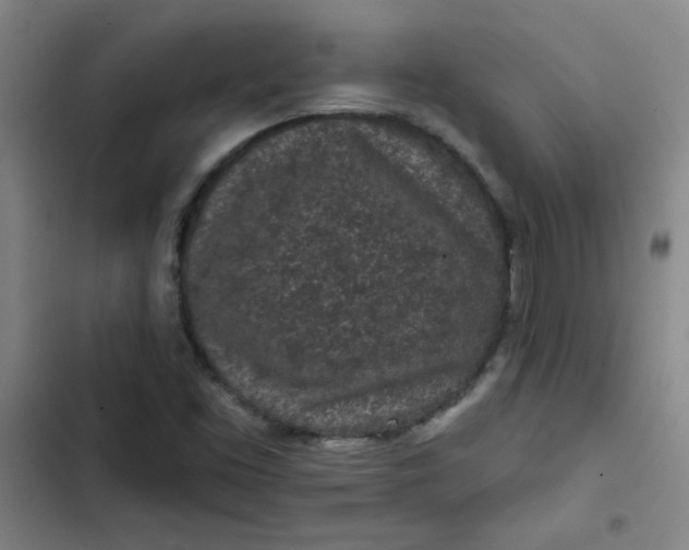 X0000102461453200808221607