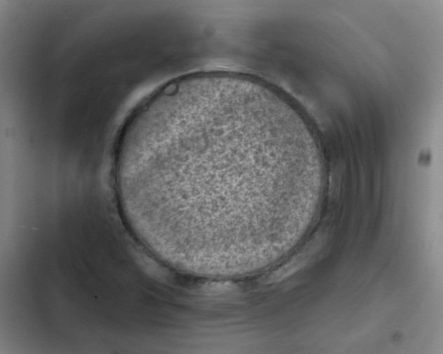 X0000102461454200808221607