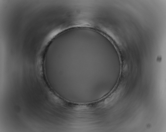 X0000102461455200808221607