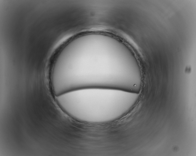 X0000102461456200808221607