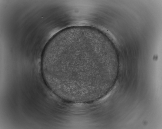 X0000102461457200808221607