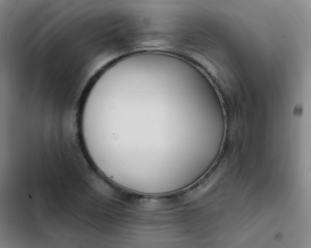 X0000102461458200808221607