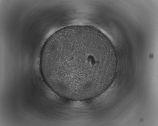 X0000102461459200808221607