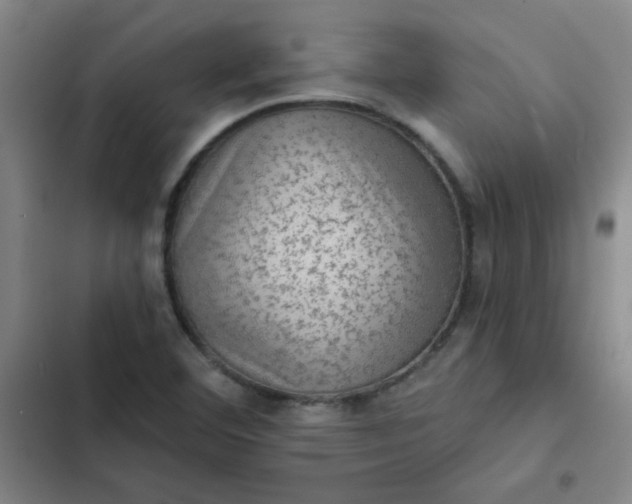 X0000102461460200808221607