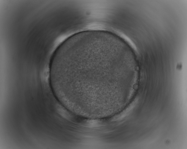 X0000102461461200808221607