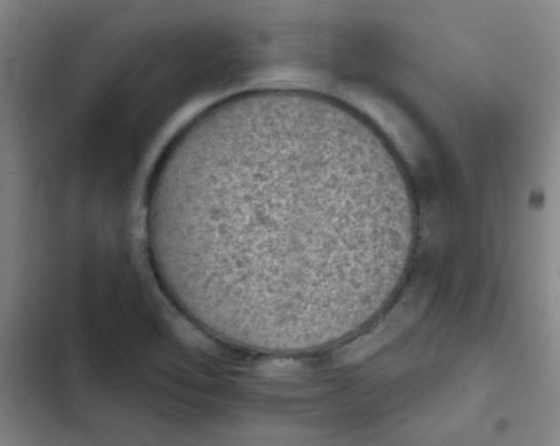 X0000102461462200808221607