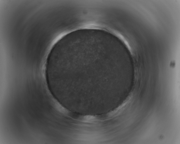 X0000102461463200808221607