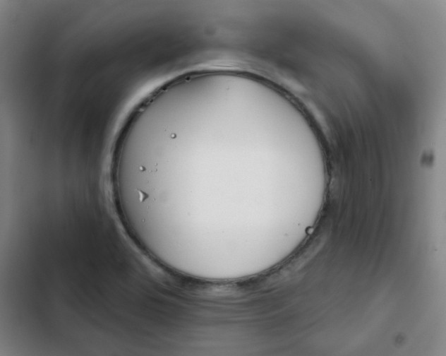 X0000102461464200808221607