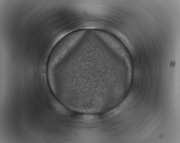 X0000102461465200808221607