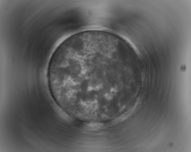 X0000102461466200808221607