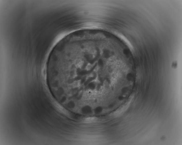 X0000102461467200808221607