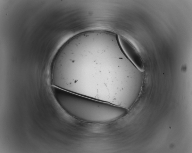 X0000102461468200808221607