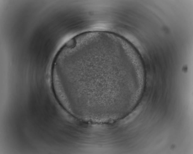 X0000102461469200808221607