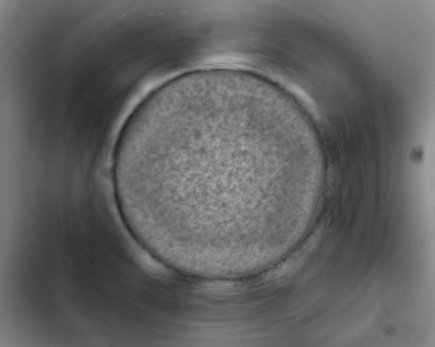 X0000102461470200808221607