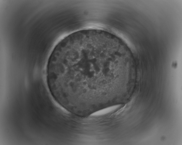 X0000102461471200808221607