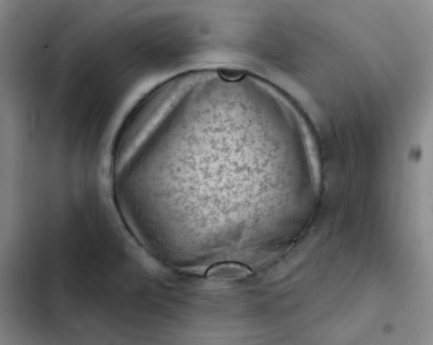 X0000102461472200808221607