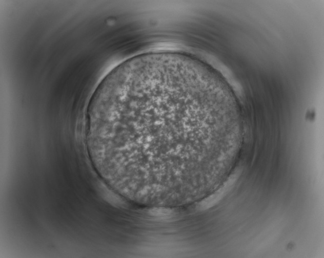 X0000102461473200808221607