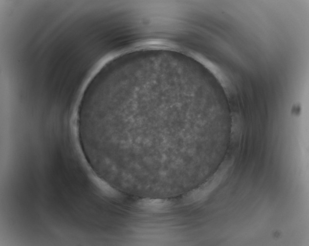 X0000102461474200808221607