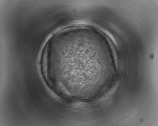 X0000102461475200808221607