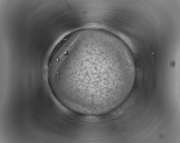 X0000102461476200808221607