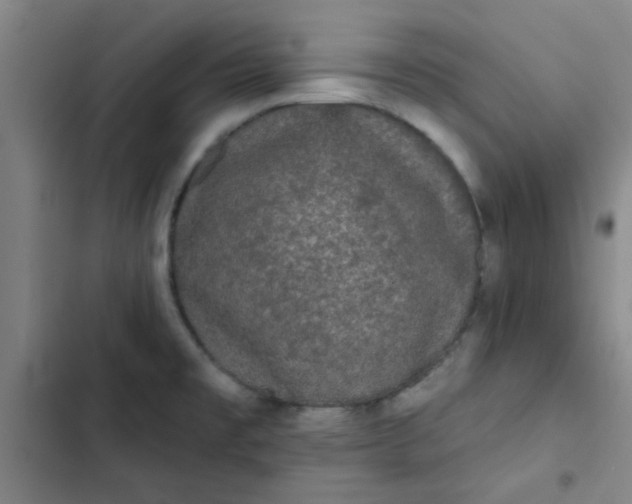 X0000102461477200808221607