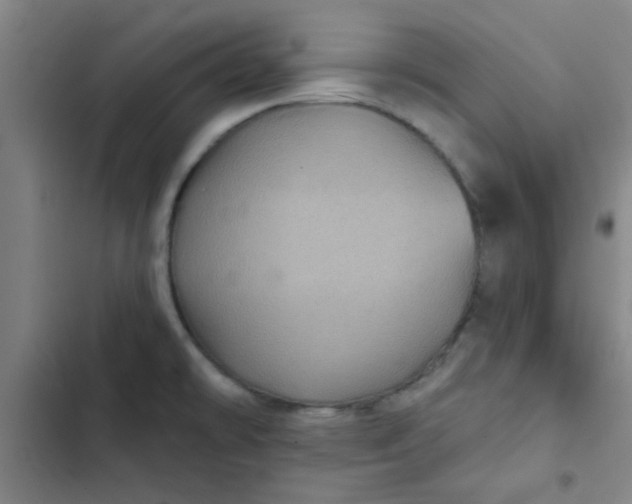 X0000102461478200808221607