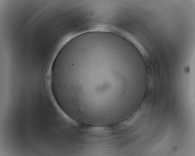 X0000102461479200808221607