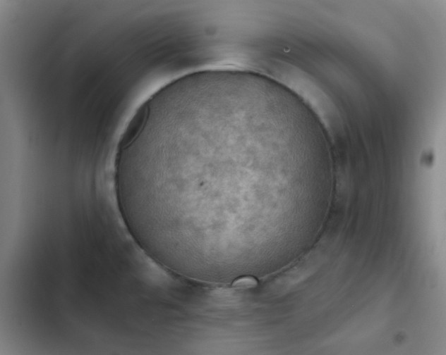 X0000102461480200808221607