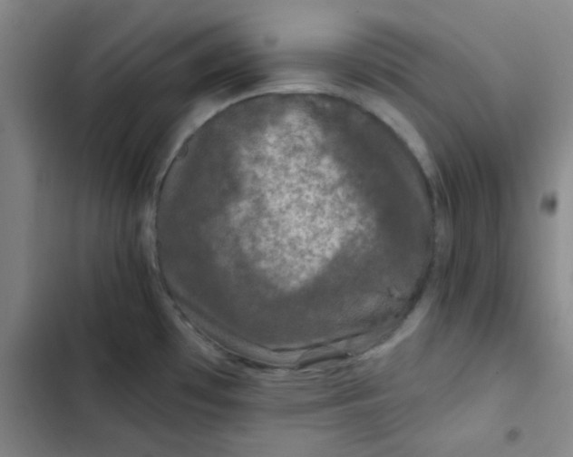 X0000102461481200808221607