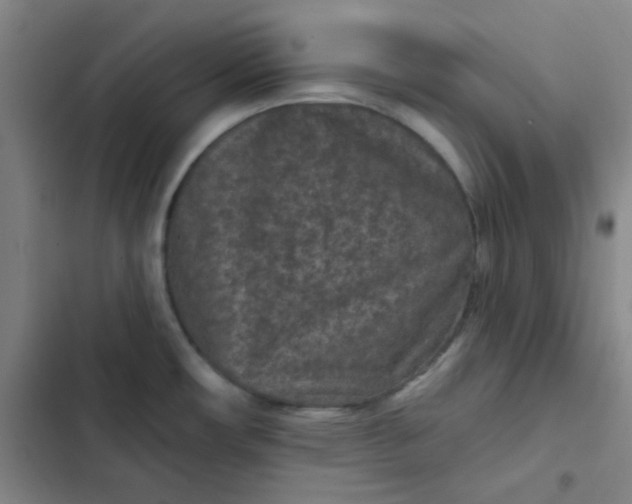 X0000102461482200808221607