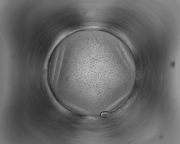 X0000102461483200808221607