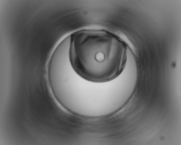 X0000102461484200808221607