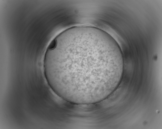 X0000102461485200808221607