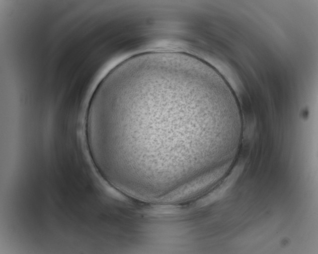 X0000102461486200808221607