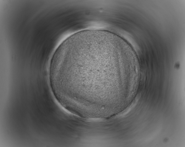 X0000102461487200808221607