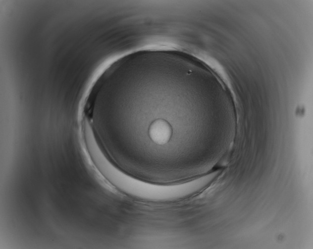 X0000102461488200808221607