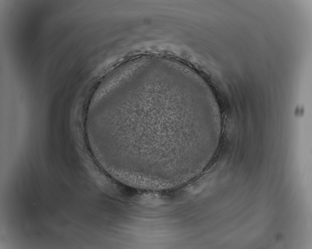 X0000102461489200808221606