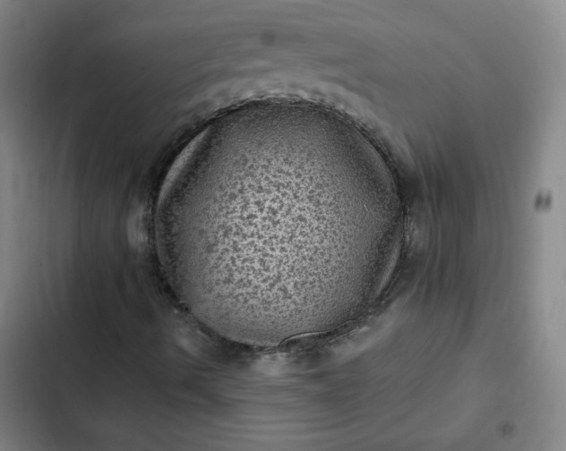 X0000102461490200808221606